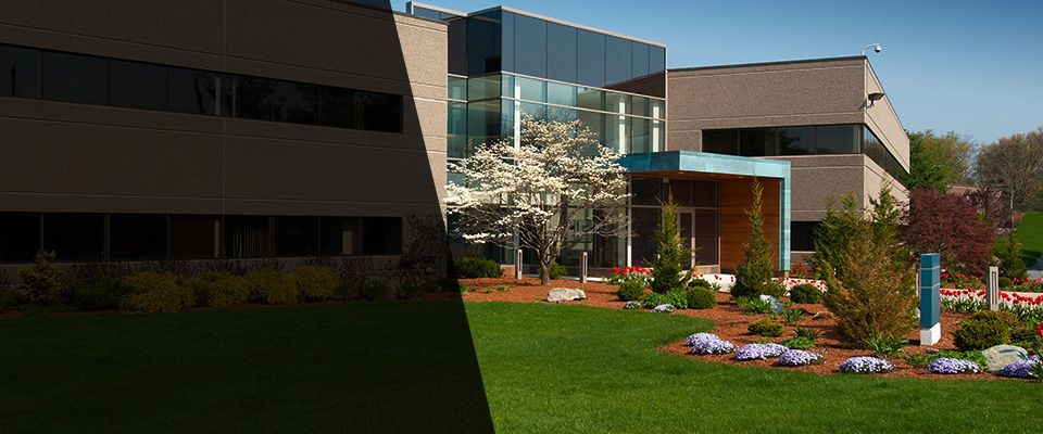 Backus Landscapers