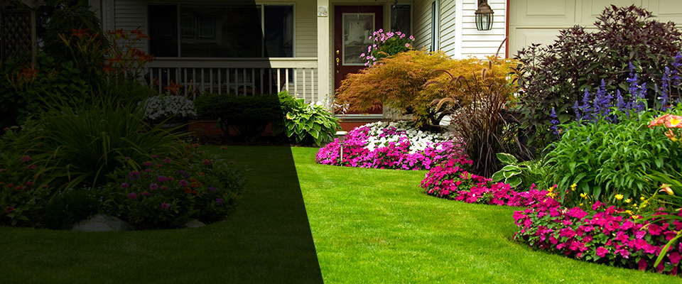 Backus Landscapers