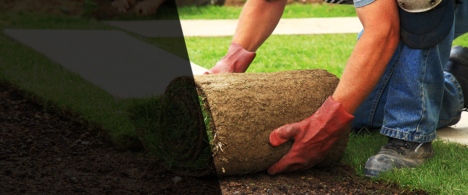 Backus Landscapers